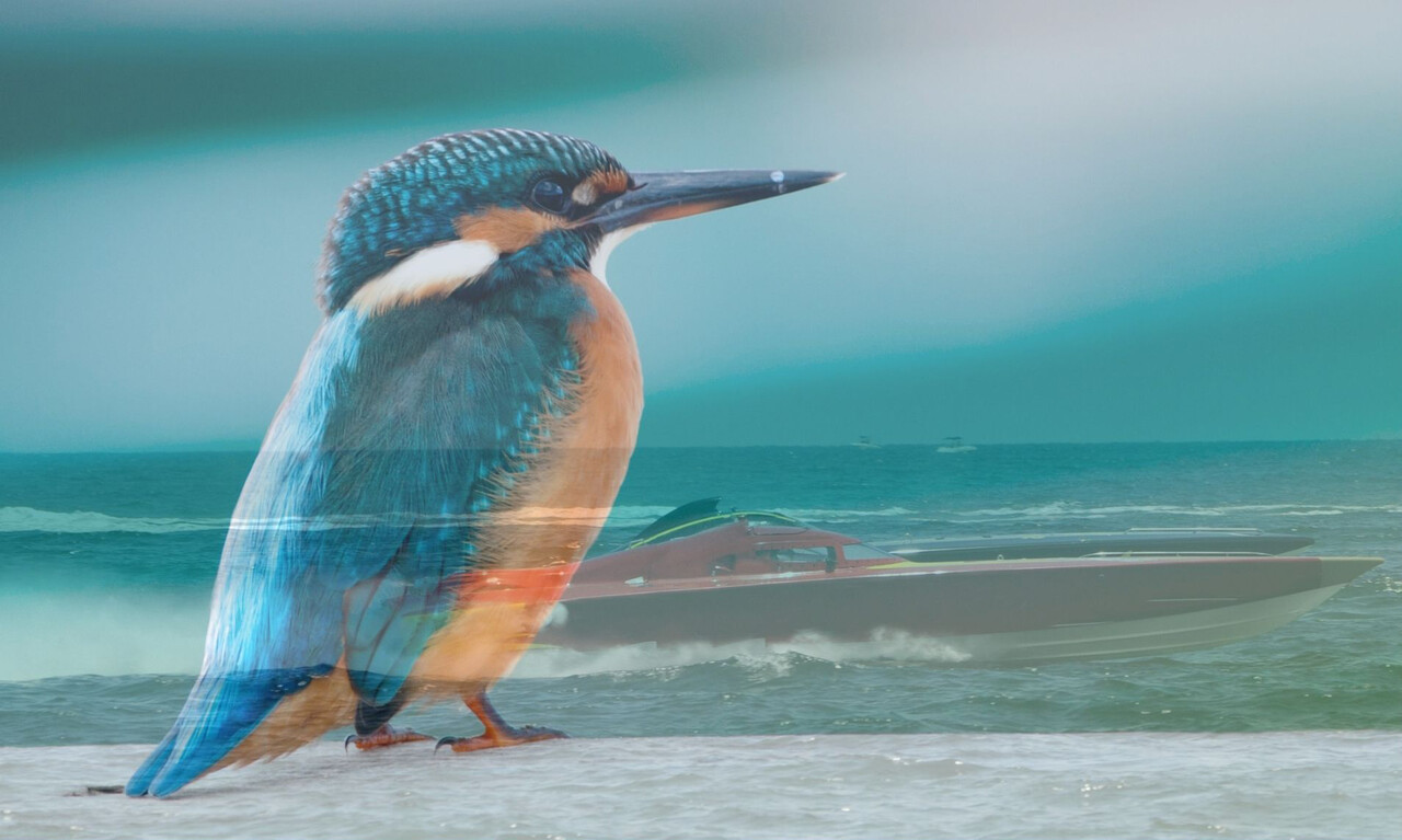 Biomimicry; speed boats and kingfisher’s beak